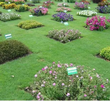 Vanis'erdre Avec Pk Gratuit Et Vue דירה *